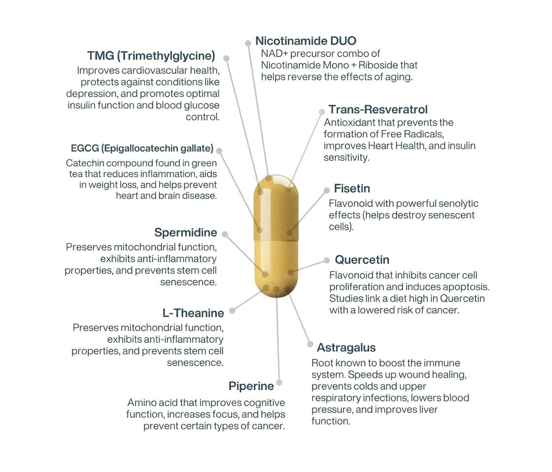 NAD+ Liposomal Longevity complex AEON 3.0 - 60 capsules - LifeUnlocked