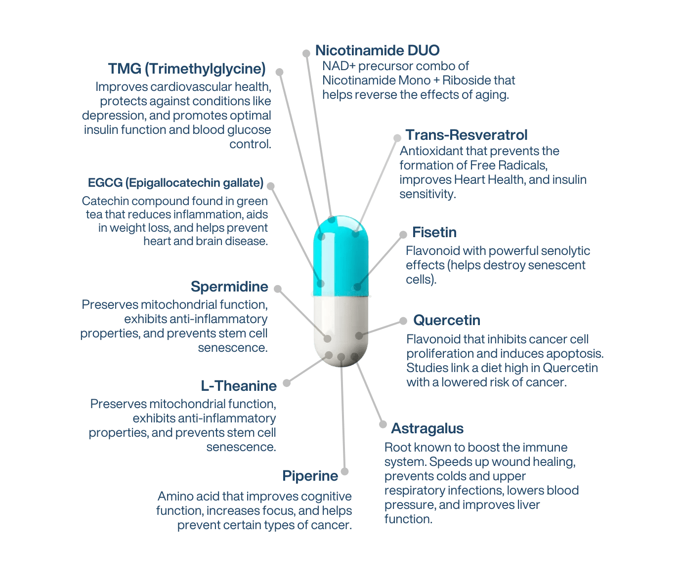 NAD+ Liposomal Longevity complex AEON 3.0 - LifeUnlocked
