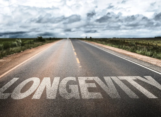 Key Takeaways About Longevity: The Insights from longevity experts