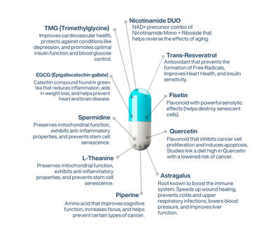 NAD+ Liposomal Longevity complex AEON 3.0 - LifeUnlocked