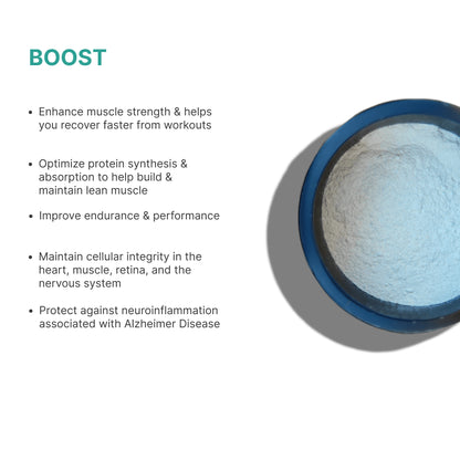 BOOST with Creatine + Taurin + Lysine