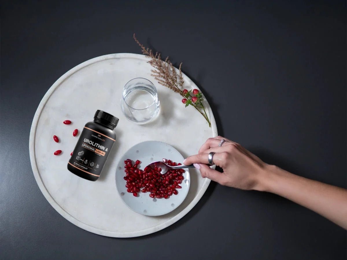 Urolithin - A Liposomal - LifeUnlocked